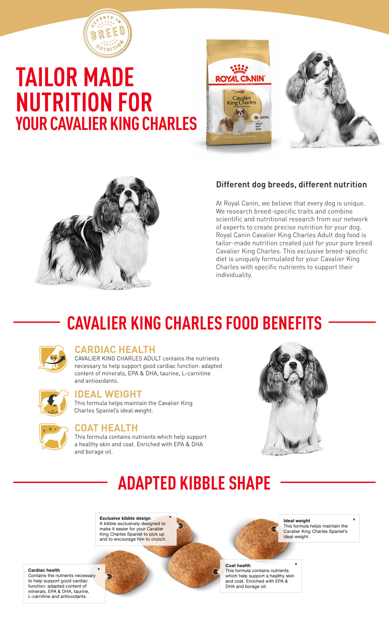 Best dry dog food for 2025 cavalier king charles spaniel uk